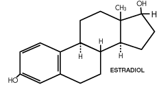 hor2.gif (3087 bytes)